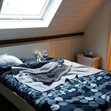 Zolderinrichting door timmerman en schrijnwerkerij Mermuys uit Jabbeke: afbeelding 15 van 53